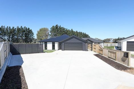 Photo of property in 7 Kereru Street, Marton, 4710