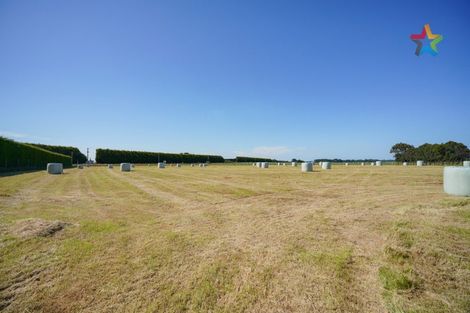 Photo of property in 15 Weir Road, Waianiwa, Invercargill, 9874