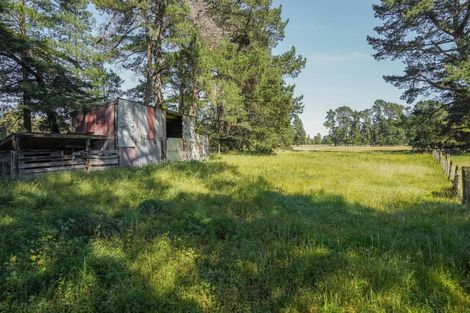 Photo of property in 373 Lehmans Road, Fernside, Rangiora, 7471