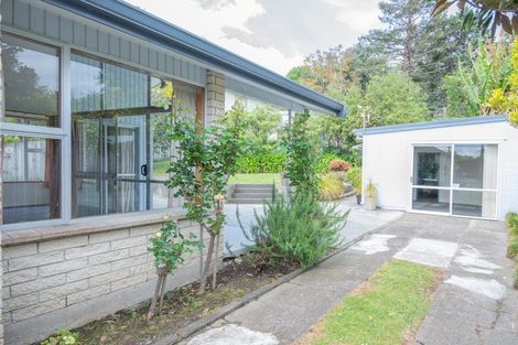 Photo of property in 27 Winter Street, Mangapapa, Gisborne, 4010