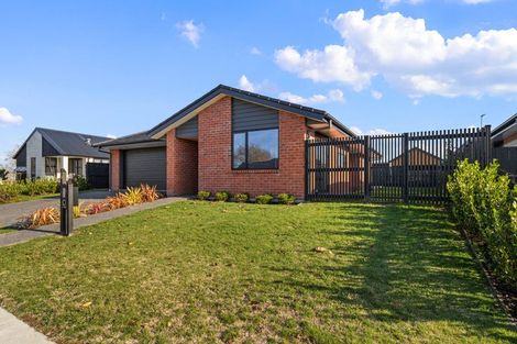 Photo of property in 23 Lockerbie Street, Morrinsville, 3300
