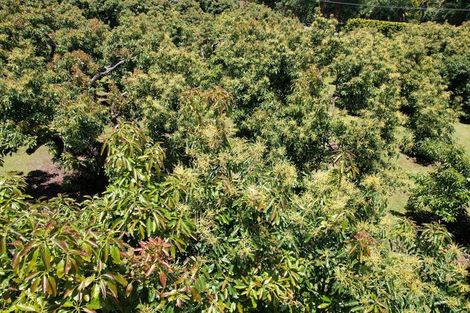 Photo of property in 55 Plummers Point Road, Whakamarama, Tauranga, 3172