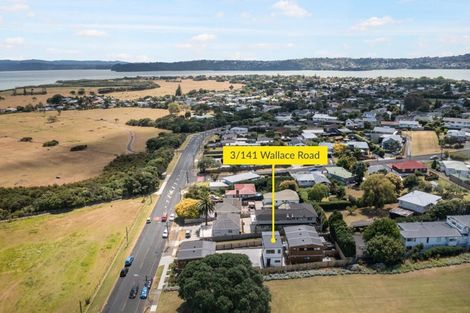 Photo of property in 3/141 Wallace Road, Mangere Bridge, Auckland, 2022