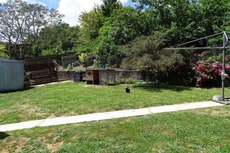 Photo of property in 3 Cullen Street, Paeroa, 3600