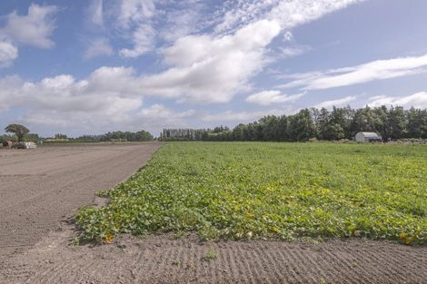 Photo of property in 37 Mcsaveneys Road, Marshland, Christchurch, 8051