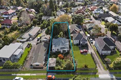 Photo of property in 117 Hutchinson Avenue, New Lynn, Auckland, 0600