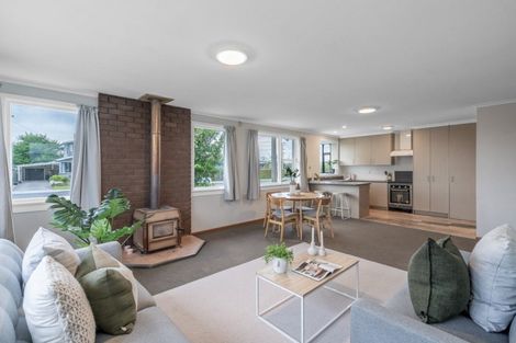 Photo of property in 119 Robertson Street, Gore, 9710