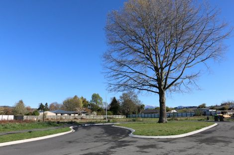 Photo of property in 24 Strawberry Place, Geraldine, 7930