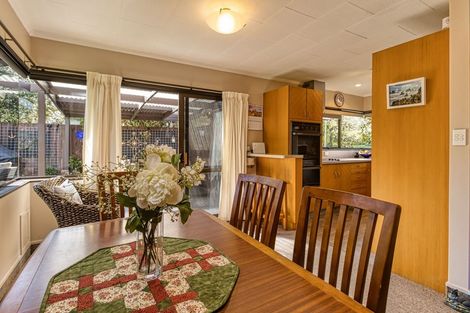 Photo of property in 23 Tanner Street, Havelock North, 4130