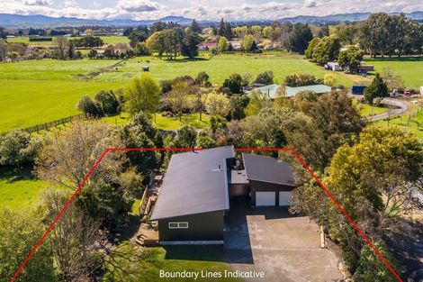 Photo of property in 38a Colville Street, Masterton, 5810