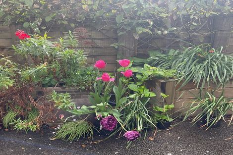 Photo of property in 17 Ridgedale Road, Silverdale, 0932