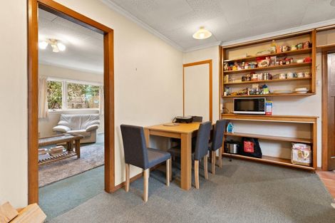 Photo of property in 17 Cornhill Street, North East Valley, Dunedin, 9010