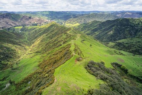 Photo of property in 987 Mangaehu Road, Puniwhakau, Stratford, 4392