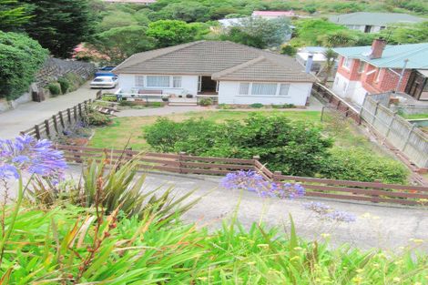 Photo of property in 31 Mccoll Street, Vogeltown, Wellington, 6021