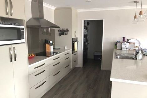 Photo of property in 116 Metehau Street, Marshland, Christchurch, 8083