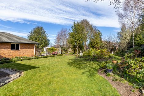 Photo of property in 36 Tancred Street, Geraldine, 7930