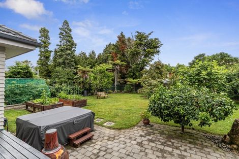 Photo of property in 19 Bailey Avenue, Claudelands, Hamilton, 3214