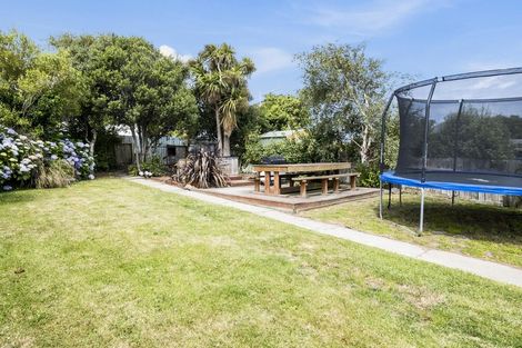 Photo of property in 19 Minto Street, Andersons Bay, Dunedin, 9013