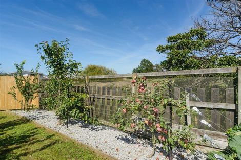 Photo of property in 28 Alexandra Street, Marton, 4710