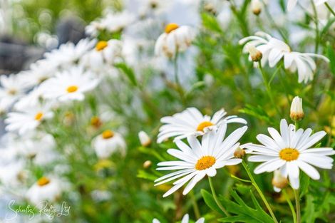 Photo of property in Bickerstaffe Road, Maungaturoto, 0520