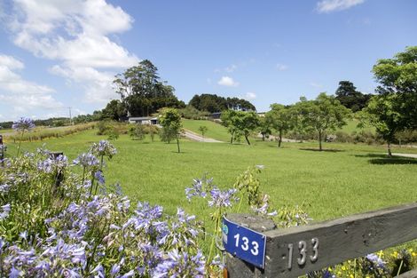 Photo of property in 133 Garbolino Road, Mangawhai, Kaiwaka, 0573