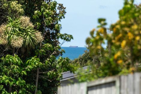 Photo of property in 91 Koutunui Road, Athenree, Waihi Beach, 3177
