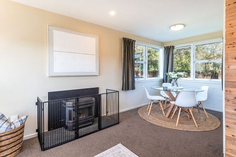 Photo of property in 58 Bordesley Street, Phillipstown, Christchurch, 8011