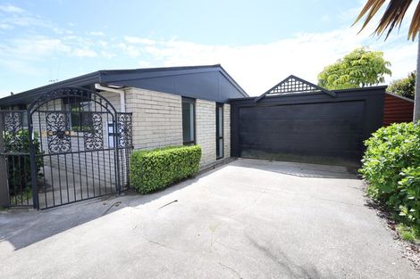 Photo of property in 79a Seventh Avenue, Tauranga, 3110