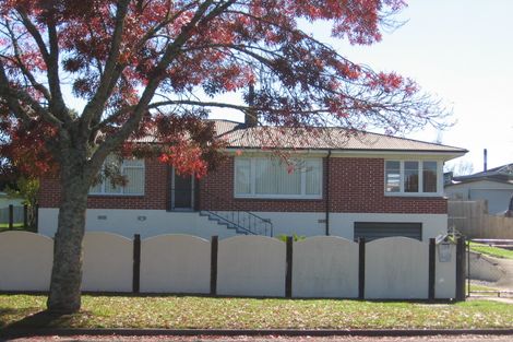 Photo of property in 129 Arapuni Street, Putaruru, 3411