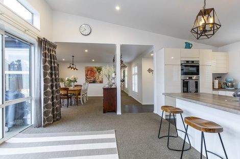 Photo of property in 6 Meadowlinks Lane, Pleasant Point, Timaru, 7974