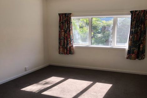 Photo of property in 20 Royal Terrace, Dunedin Central, Dunedin, 9016