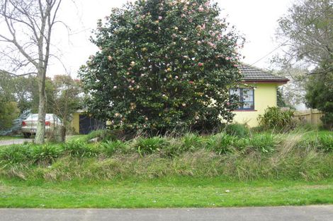 Photo of property in 24 Graham Street, Levin, 5510