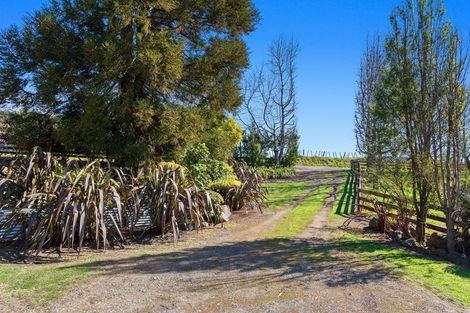 Photo of property in 399 Verrall Road, Waiotahe, Opotiki, 3198