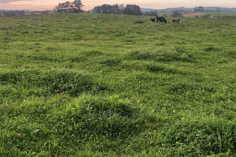 Photo of property in 155 Tauhei Road, Mangateparu, Morrinsville, 3375