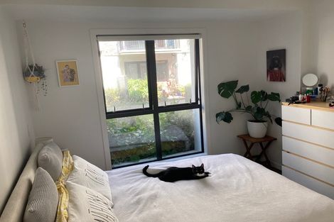 Photo of property in 2/16d Constable Street, Newtown, Wellington, 6021