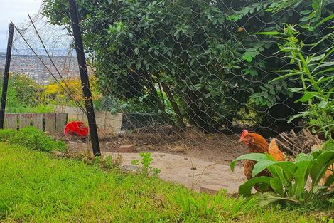 Photo of property in 139 Forfar Street, Clyde Hill, Dunedin, 9011