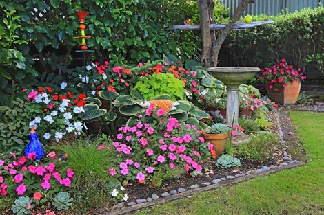 Photo of property in 50 Gloucester Street, Greenmeadows, Napier, 4112