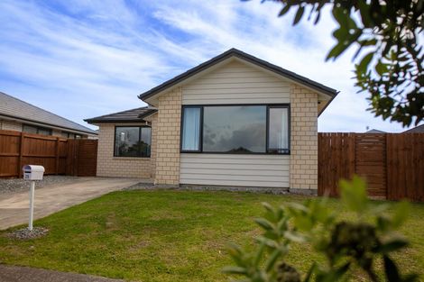 Photo of property in 25 Rainsford Road, Pukekohe, 2120