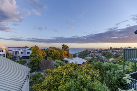 Photo of property in 137 Priestley Terrace, Bluff Hill, Napier, 4110
