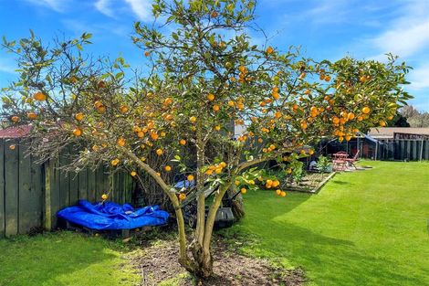 Photo of property in 11 Beryl Place, Pukehangi, Rotorua, 3015