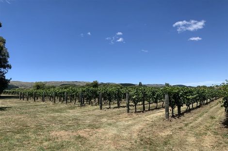 Photo of property in 1114 Omihi Road, Omihi, Amberley, 7483