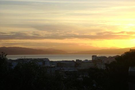 Photo of property in 53 Hankey Street, Mount Cook, Wellington, 6011