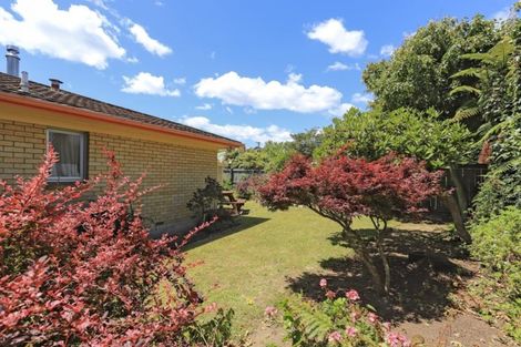 Photo of property in 53b High Street, Glenholme, Rotorua, 3010