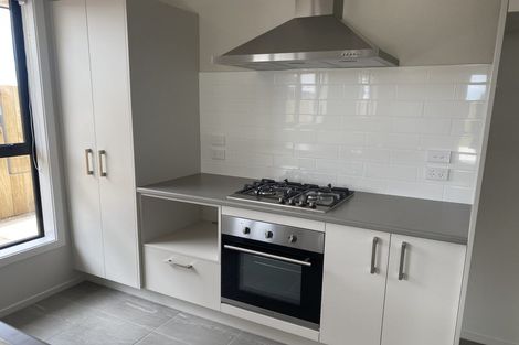 Photo of property in 98 Pragma Rise, Huntington, Hamilton, 3210