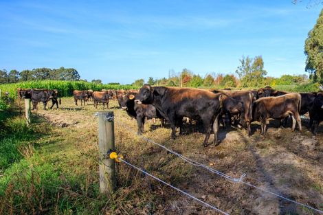 Photo of property in 414 Naughton Road, Kerrytown, Timaru, 7975