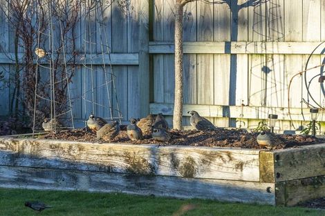 Photo of property in 42 Victory Drive, Wharewaka, Taupo, 3330