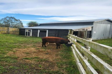 Photo of property in 128 Mangatarata Road, Waipukurau, 4285
