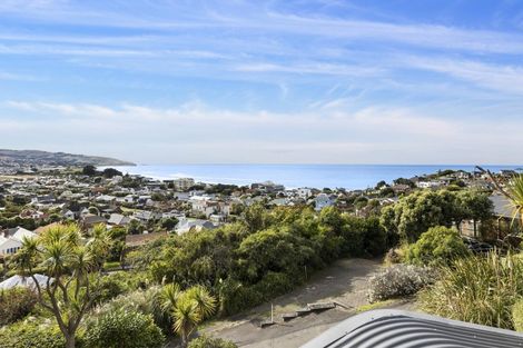 Photo of property in 46a Norfolk Street, Saint Clair, Dunedin, 9012