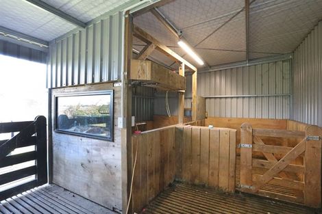 Photo of property in 255 Calico Line, Marton, 4787