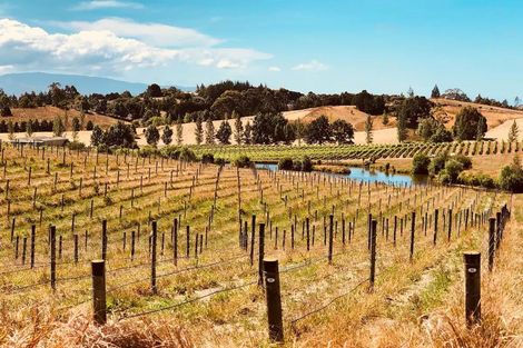 Photo of property in 49 Aranui Road, Mapua, 7005